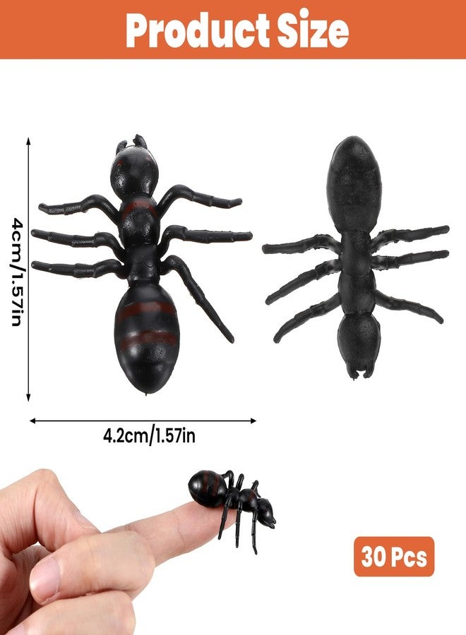 HaiFafafaing 30 Pcs Plastic Ants, Black Fake Ants for Party Decorations, Halloween Prank Toys, Practical Jokes, Cake Decorations - Image 2